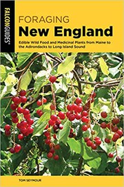 Cover of Foraging New England
